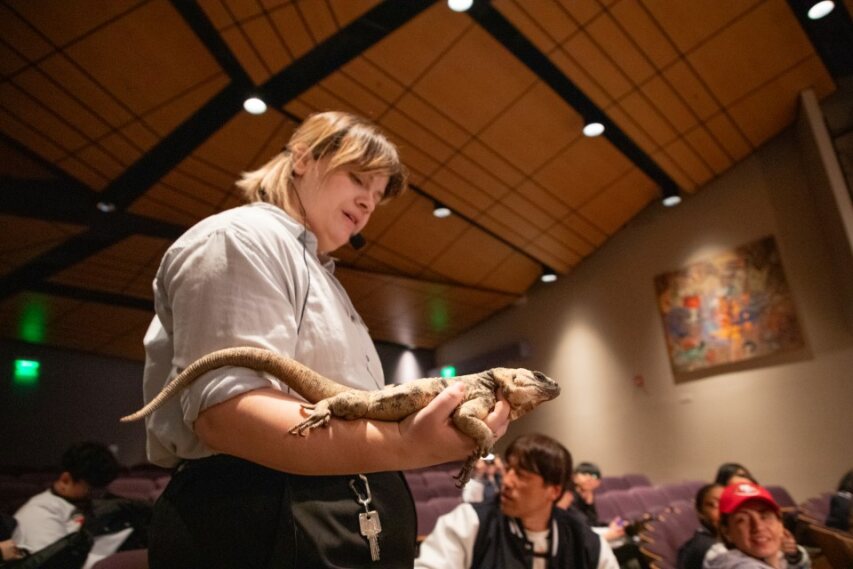 A Desert Museum employee shows off a very large lizard